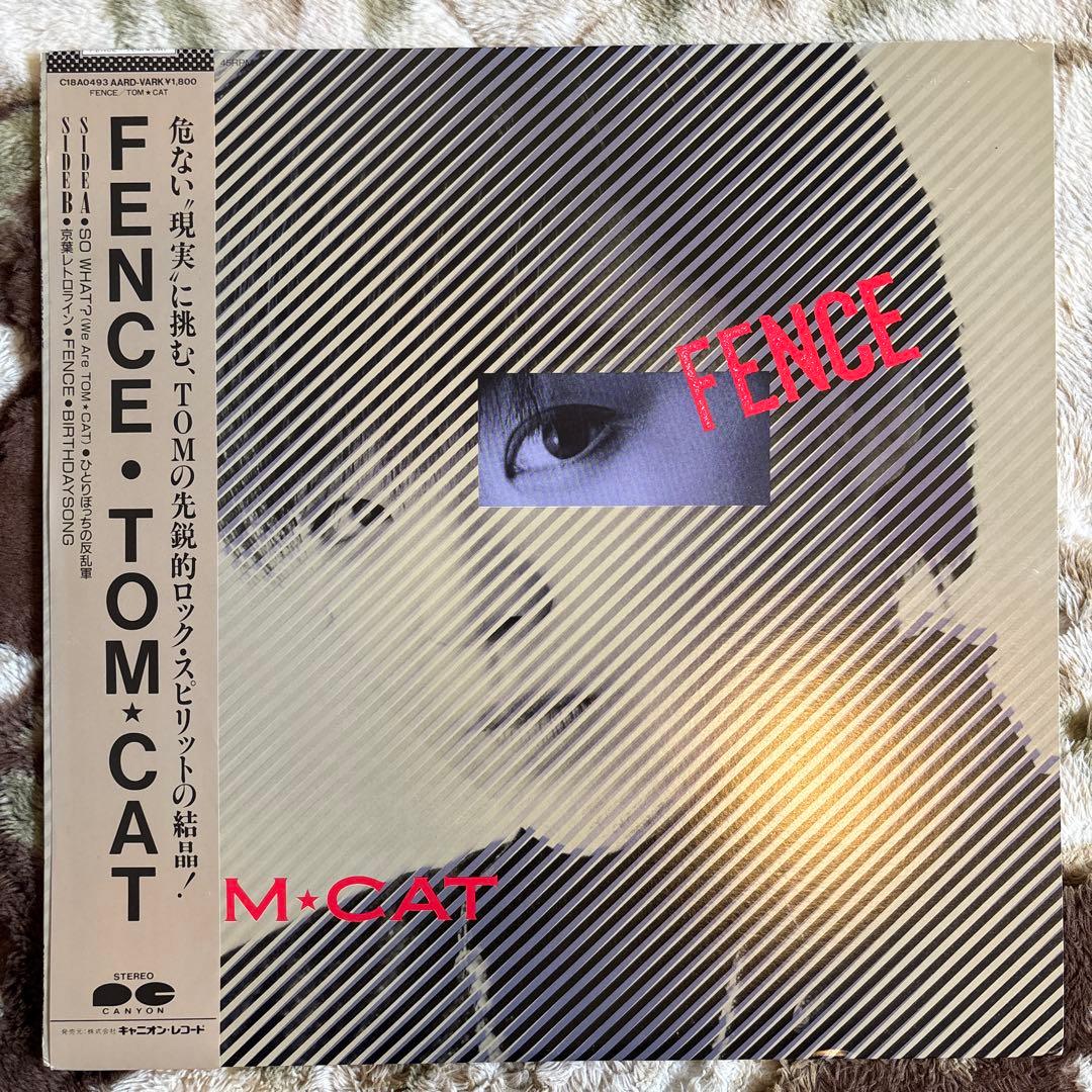 Japanese Music Tom Cat Tomcat Rock'N' Roll