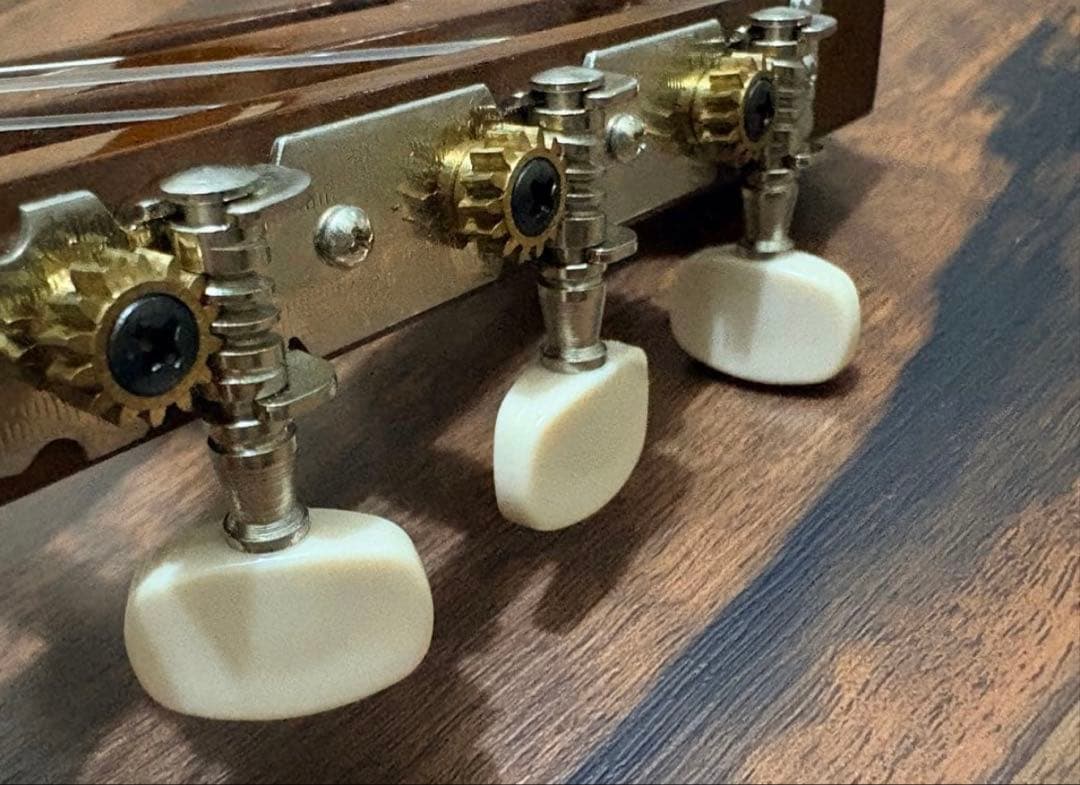 Yamaha Other Cgs102A