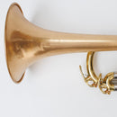 Yamaha Trumpets Ytr-632 (514)