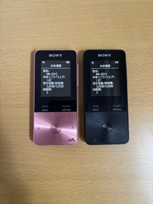 Digital Audio Players Nw S313 2