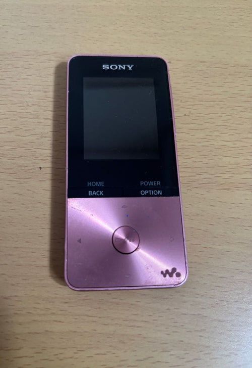 Digital Audio Players Nw S313 2