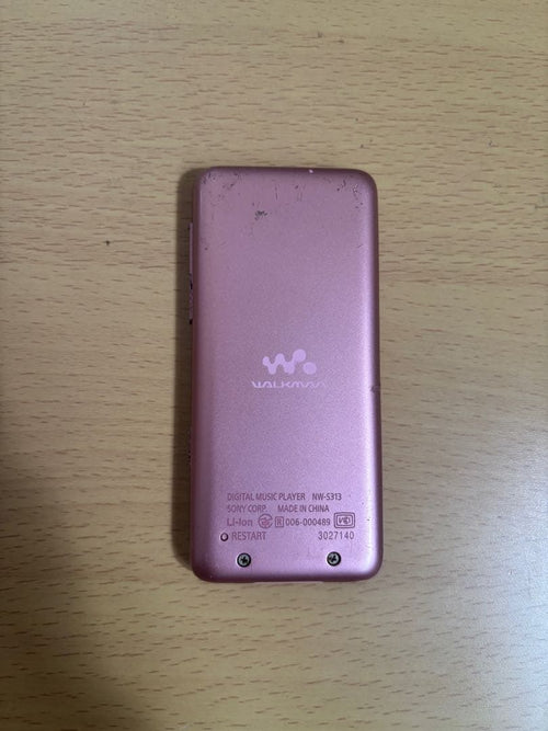 Digital Audio Players Nw S313 2