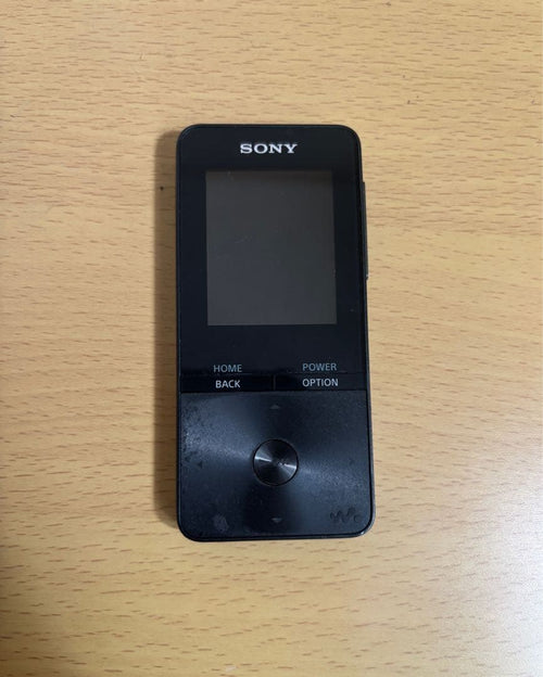 Digital Audio Players Nw S313 2