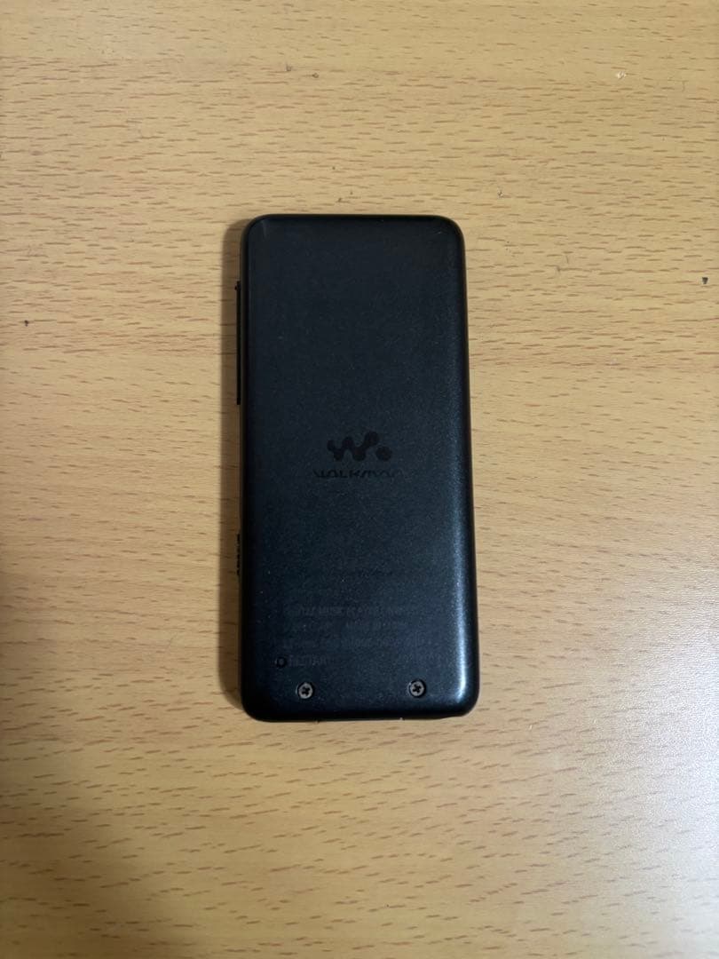 Digital Audio Players Nw S313 2