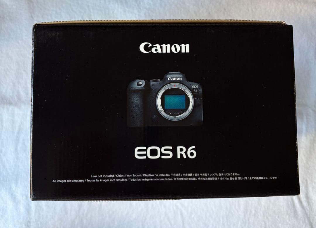 Mirrorless Interchangeable Lips Canon Eos R6
