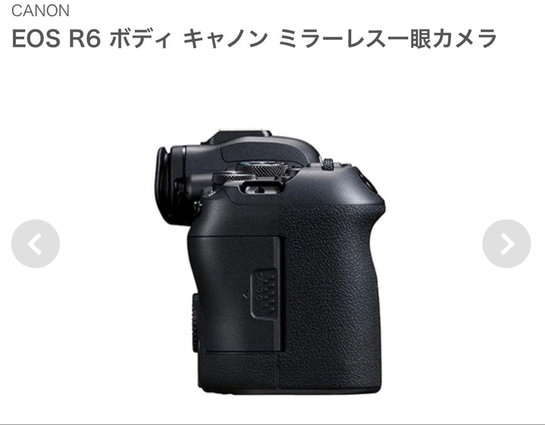 Mirrorless Interchangeable Lips Canon Eos R6