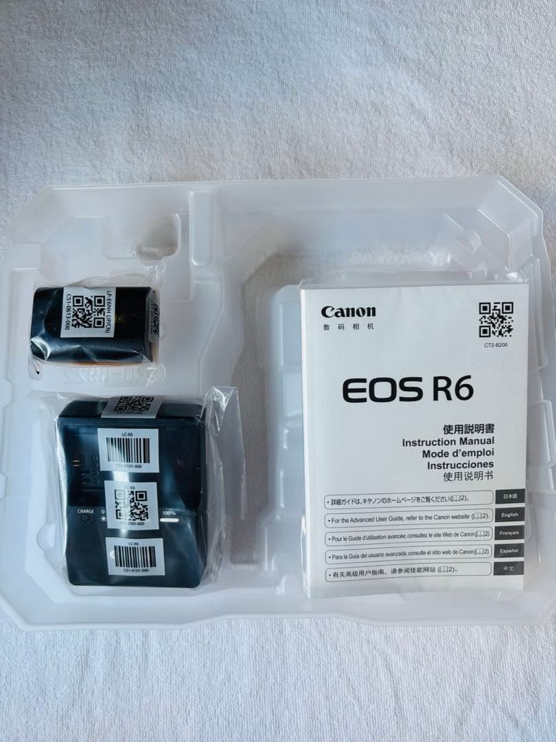 Mirrorless Interchangeable Lips Canon Eos R6