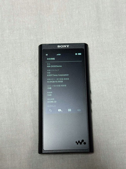 Sony Digital Audio Player Nw-Zx300 64Gb Walkman Usb