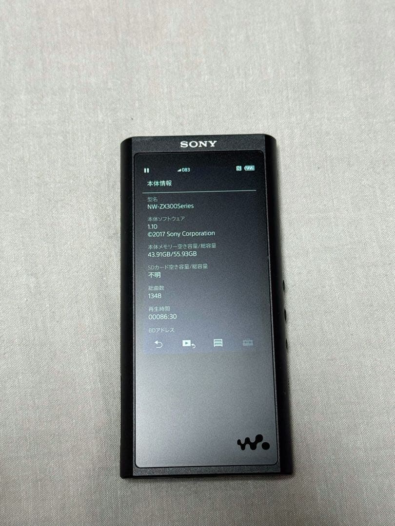Sony Digital Audio Player Nw-Zx300 64Gb Walkman Usb