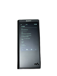 Sony Digital Audio Player Nw-Zx300 64Gb Walkman Usb