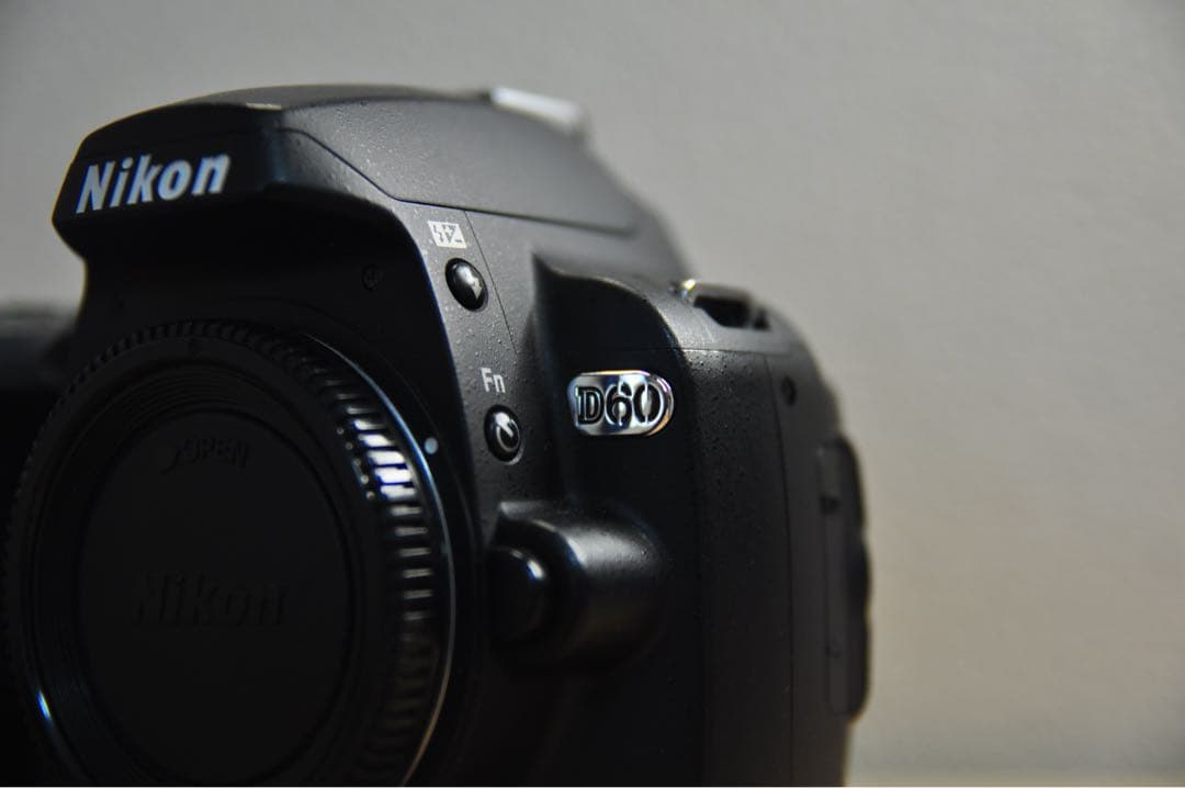 Nikon Digital Slrs D60