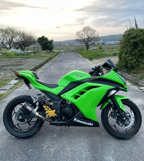 Others Ninja 250