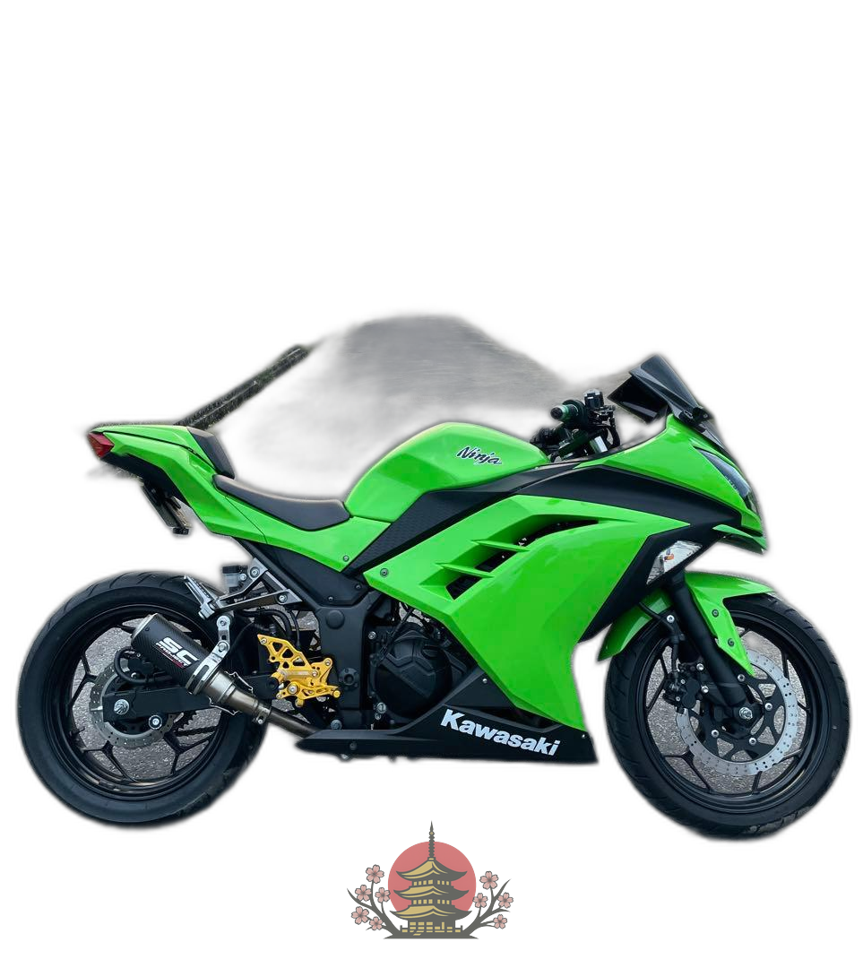 Others Ninja 250