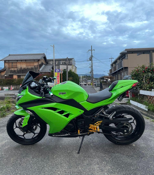 Others Ninja 250