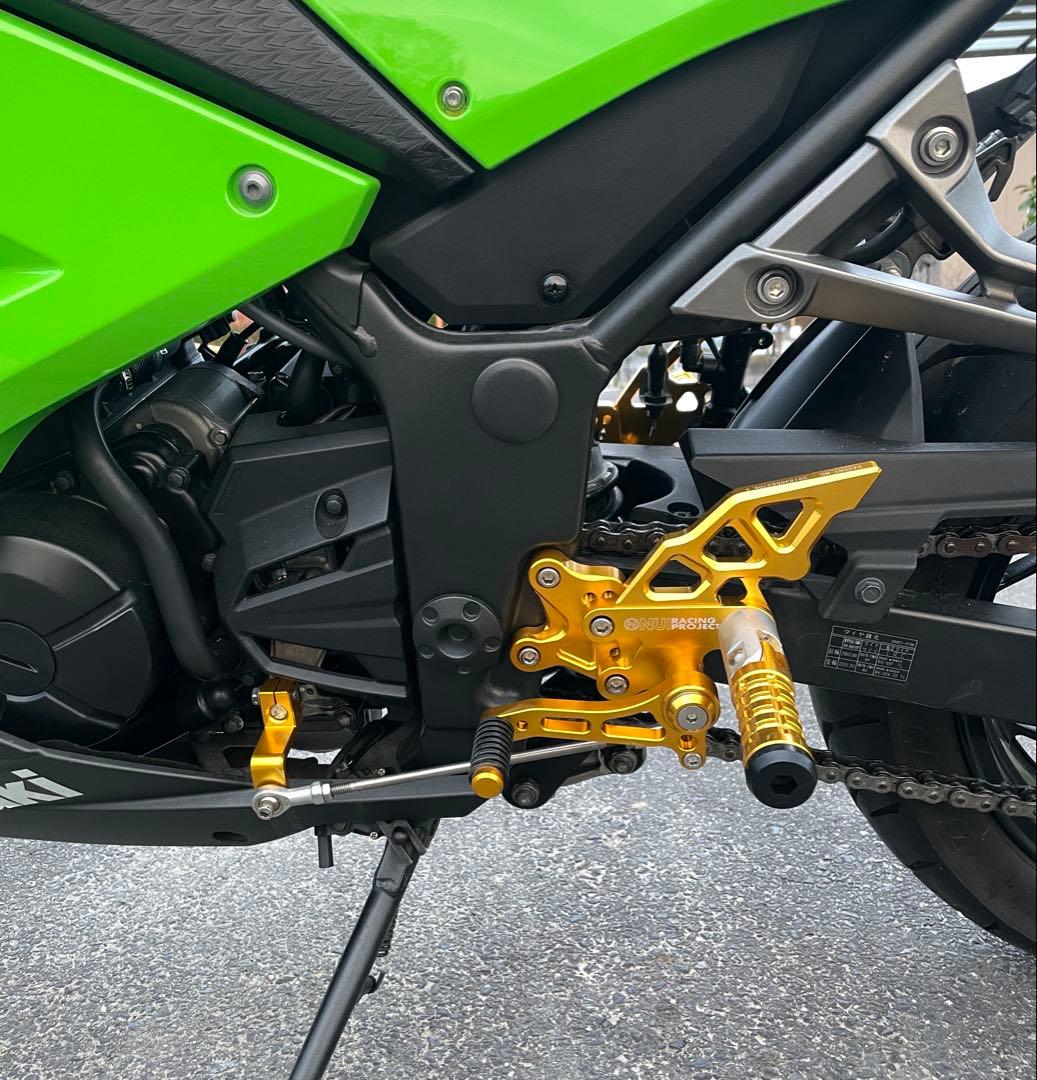 Others Ninja 250