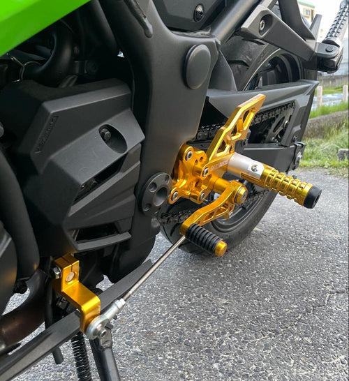 Others Ninja 250