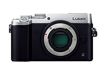 Digital Slr Gx8 2030 Dmc-Gx8-S