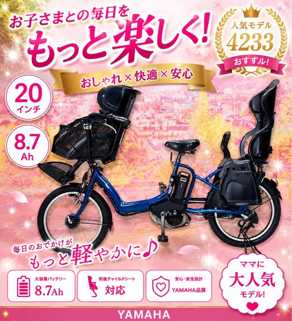 Yamaha Bicycles With Child Seats Zk4233 20