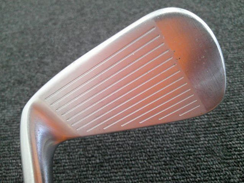 Taylormade Iron Set P770 2020 5I /Dynamic Gold 105 Vss/X100/25.5[8300]