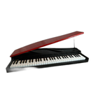Keyboard Electronic Piano Korg Micro 61