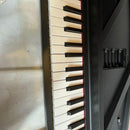Keyboard Electronic Piano Korg Micro 61