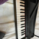 Keyboard Electronic Piano Korg Micro 61
