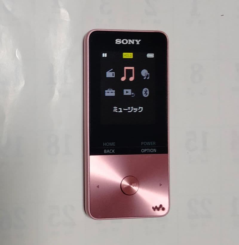 Sony Digital Audio Players Nw-S313 4Gb