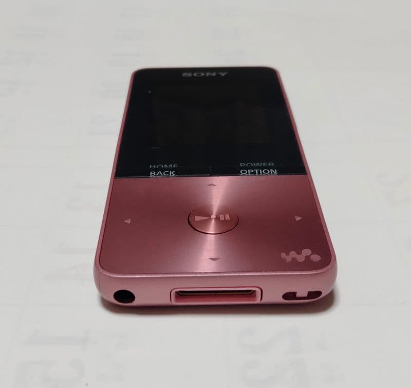 Sony Digital Audio Players Nw-S313 4Gb