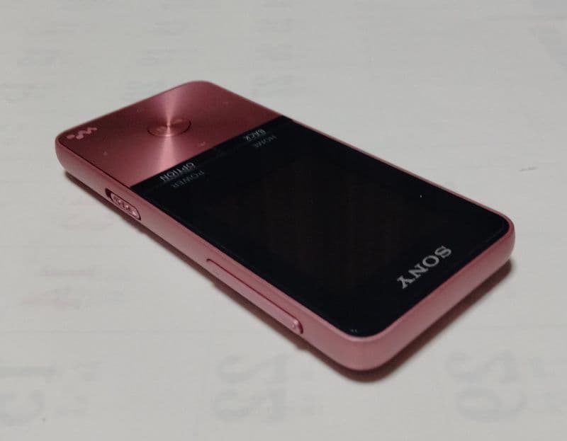 Sony Digital Audio Players Nw-S313 4Gb