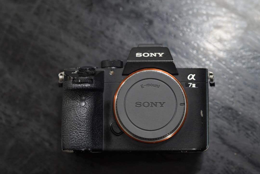 Sony Mirrorless Interchangeable Lens Cameras A7Iii