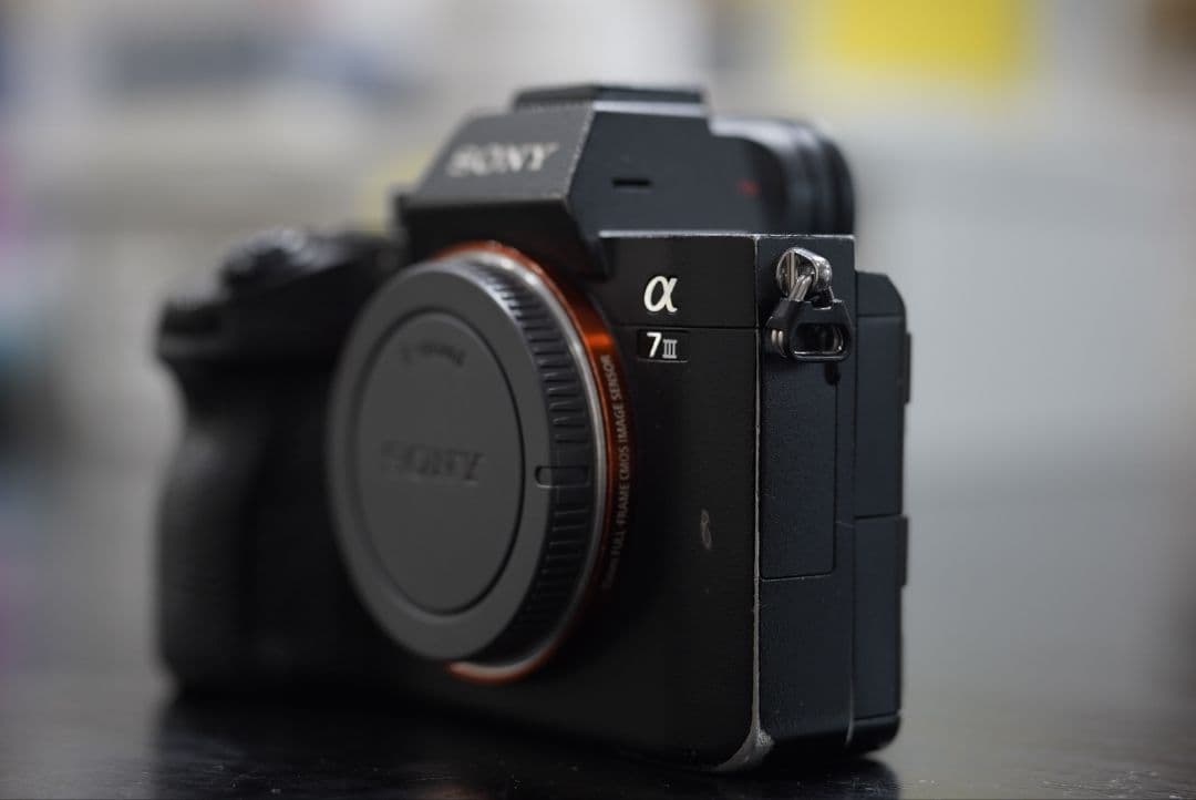 Sony Mirrorless Interchangeable Lens Cameras A7Iii