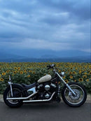Motorcycle Frames 400
