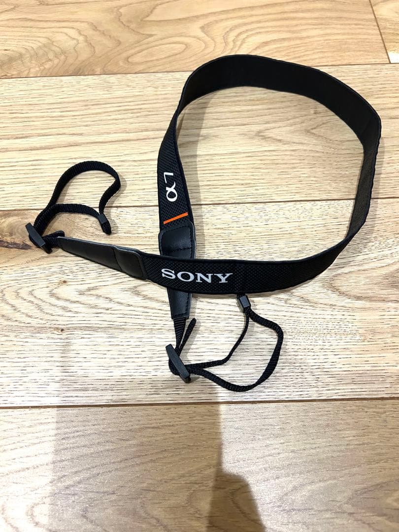 Sony Mirrorless Interchangeable Lens Cameras 7Ii