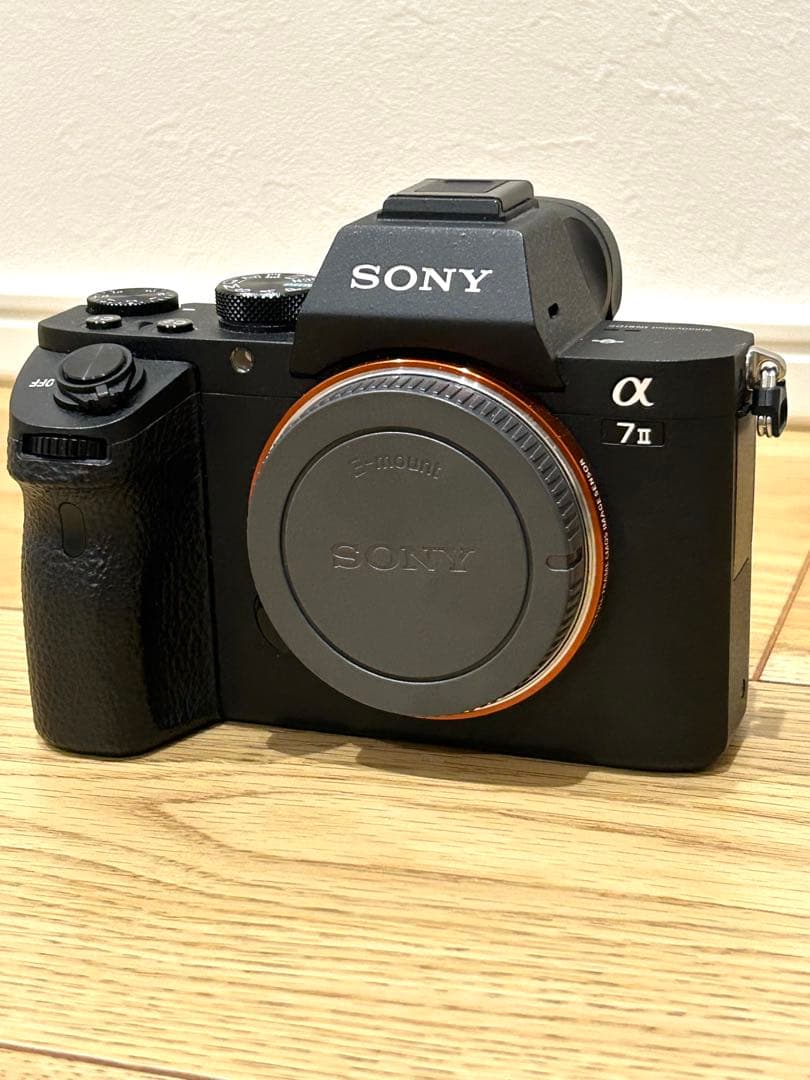 Sony Mirrorless Interchangeable Lens Cameras 7Ii