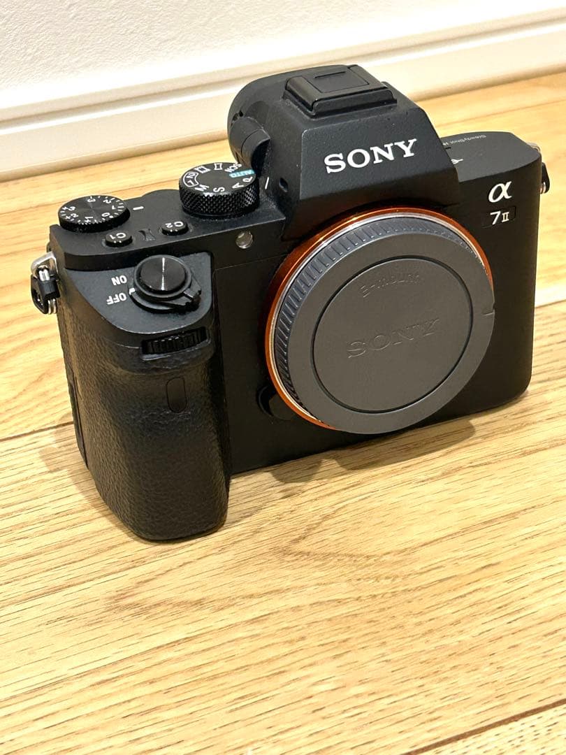 Sony Mirrorless Interchangeable Lens Cameras 7Ii