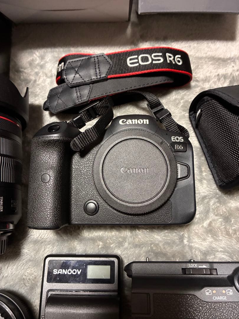 Canon Mirrorless Interchangeable Lens Cameras Eos R6 Rf