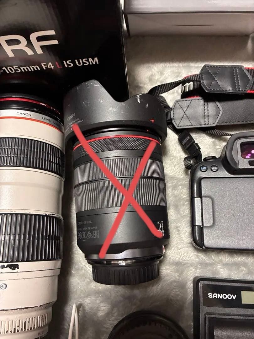 Canon Mirrorless Interchangeable Lens Cameras Eos R6 Rf