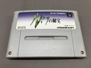 Soft Squaresoft