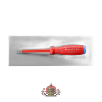 Others Ea560Pn-20 T20X100Mm Torx