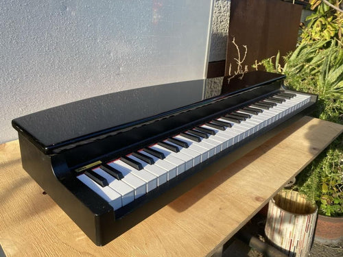 Korg Keyboard Electronic Piano Micropiano 61