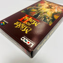 Other Might And Magic Ii