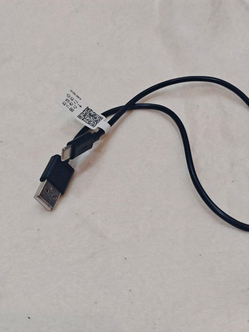 Sony Digital Audio Players Nw-A306 Microsd 1Tb