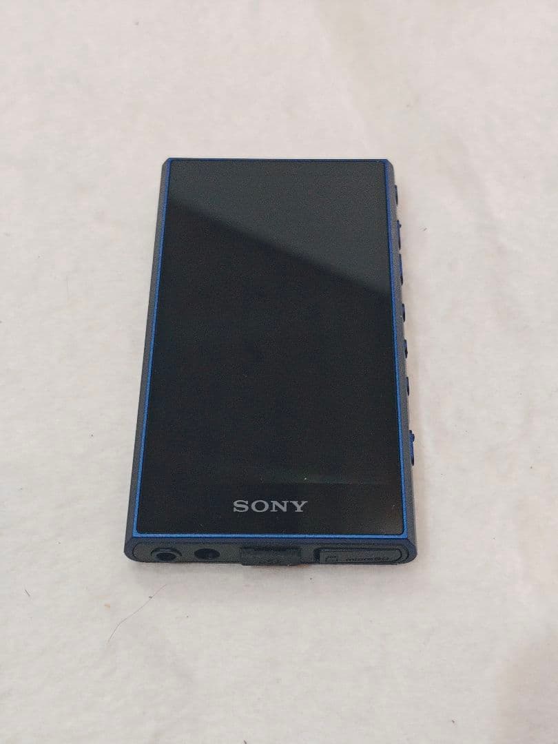Sony Digital Audio Players Nw-A306 Microsd 1Tb
