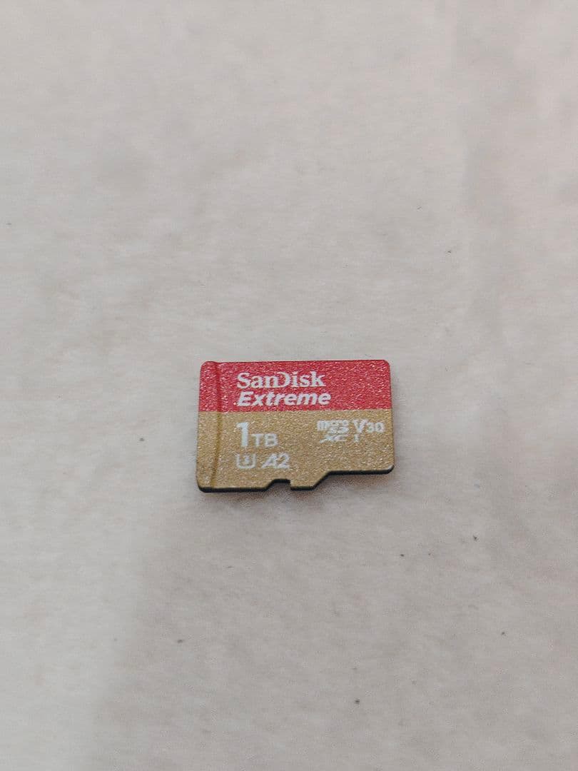 Sony Digital Audio Players Nw-A306 Microsd 1Tb