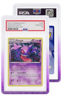 Supply Accessories Goods Gradedguard "Grape" Psa