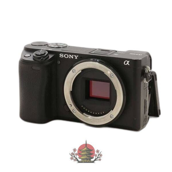 Sony Mirrorless Interchangeable Lips 6400 348