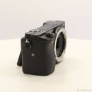 Sony Mirrorless Interchangeable Lips 6400 348