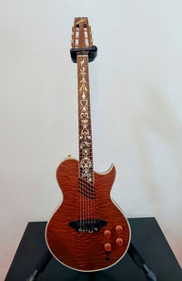 Acoustic Guitars Aria Pro Ii Pe-Mid-Ii