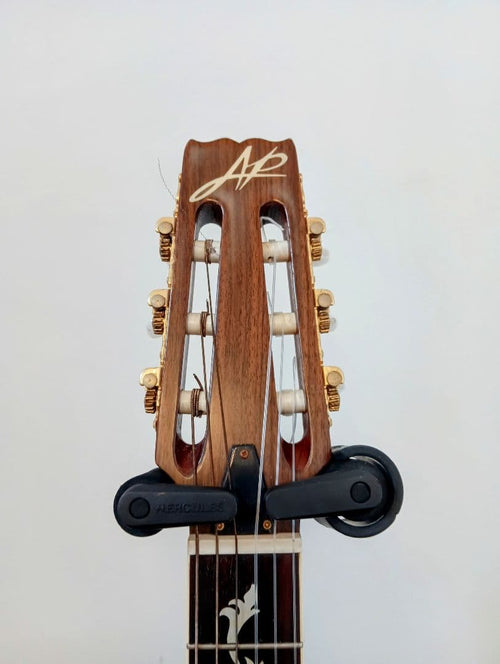 Acoustic Guitars Aria Pro Ii Pe-Mid-Ii