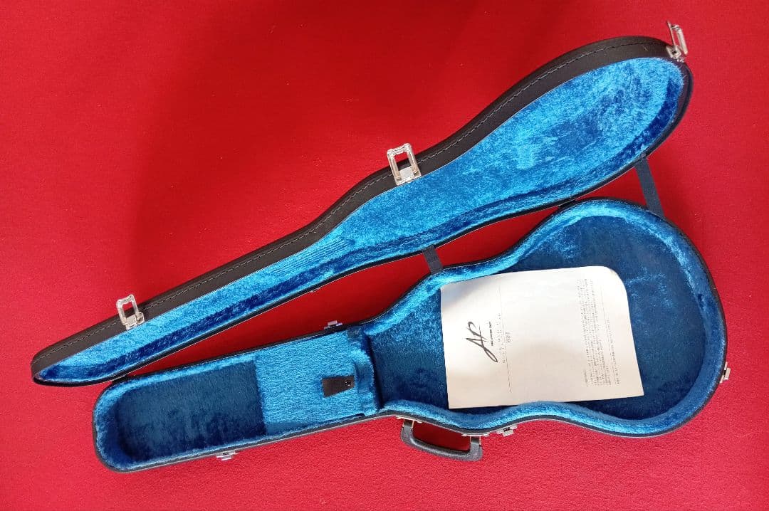 Acoustic Guitars Aria Pro Ii Pe-Mid-Ii